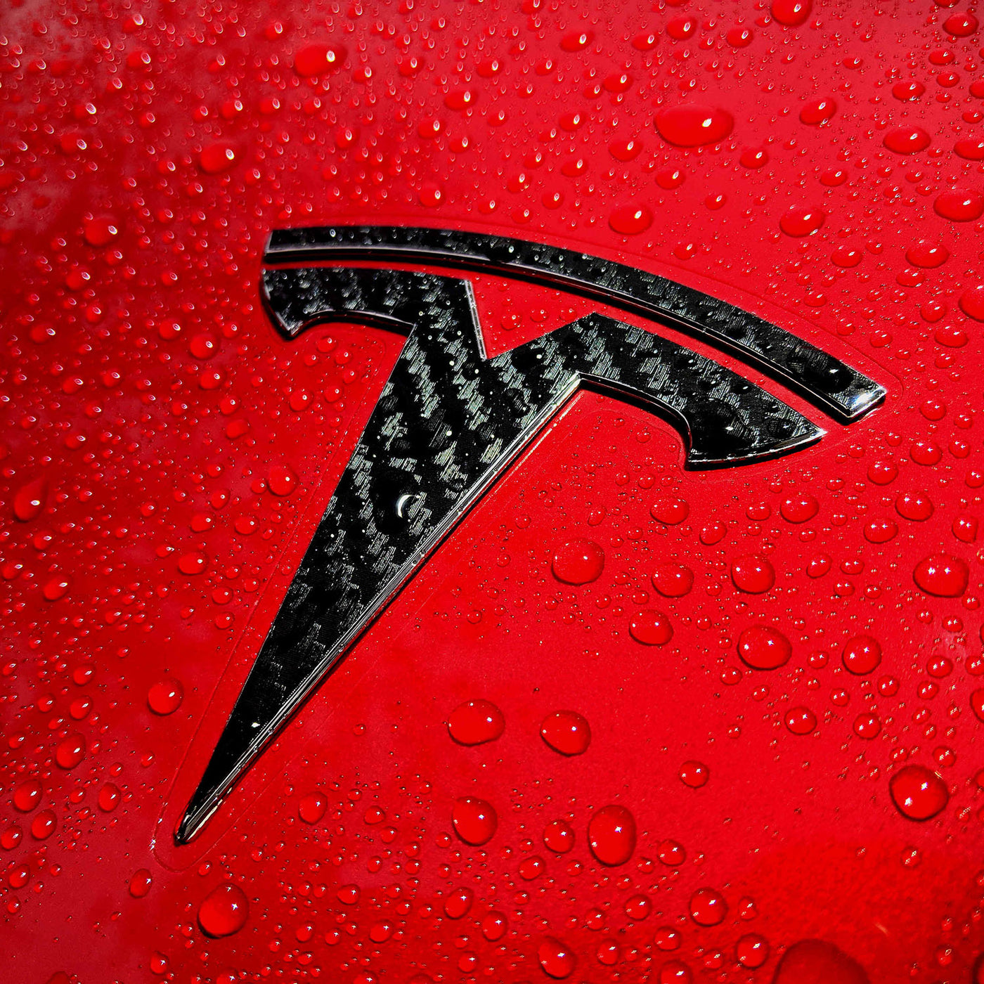 Model S Logo Decal Bundle – EV Wraps