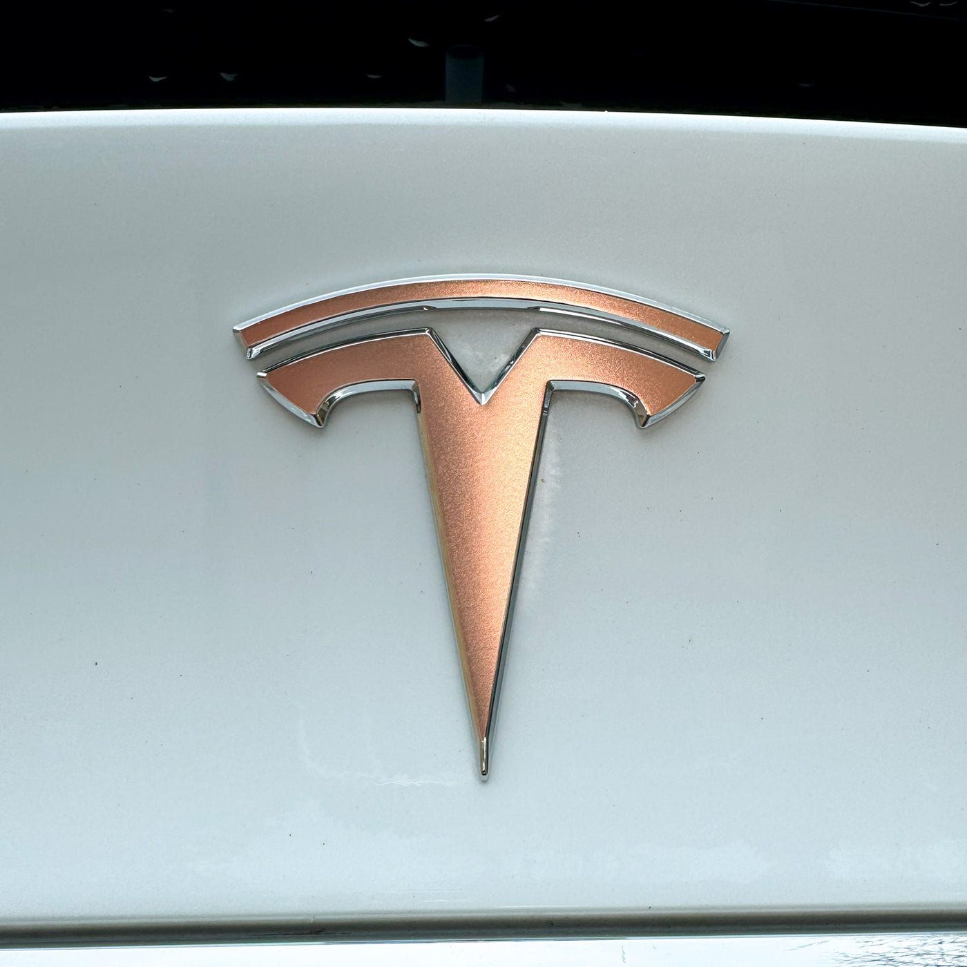 Tesla Model S Rose Gold Trunk Logo Decal – EV Wraps