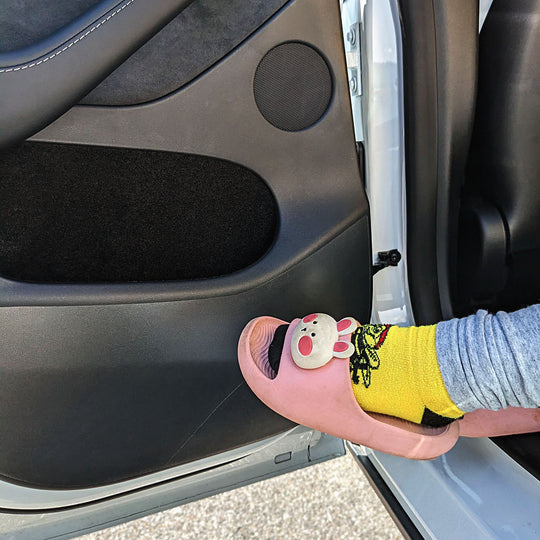 Model Y Rear Door Kick Guard