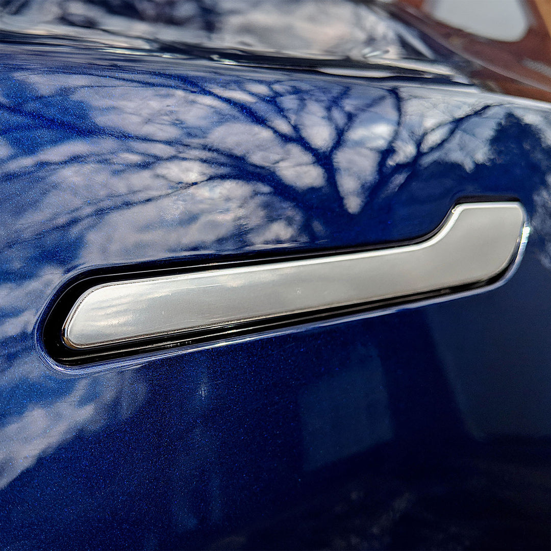 Model Y/3 Door Handle Protector